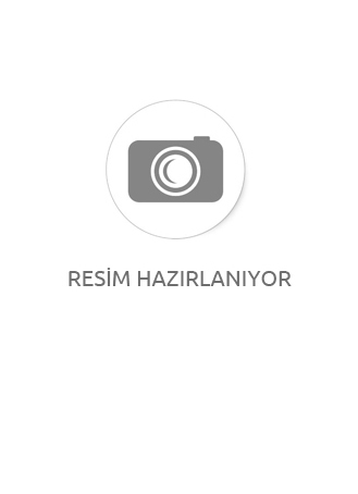 RENAULT TAKIM CONTASI 